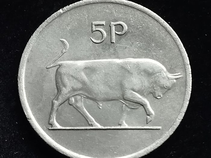 Ireland - 1975 - 5 Pence  - Bull - KM.22 - [2006]