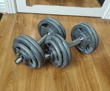17.5kg dumbells