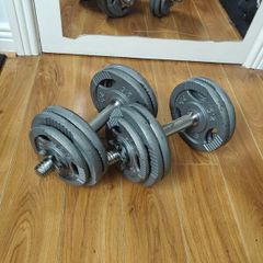 17.5kg dumbells