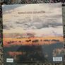 Robert Plant: Saving Grace LP Image 2