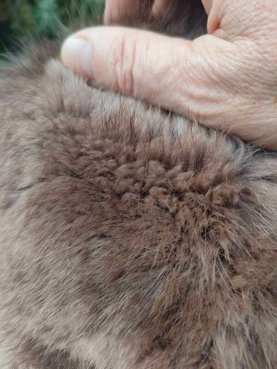 Vintage Kate's Canadian Boutique Fur Hat