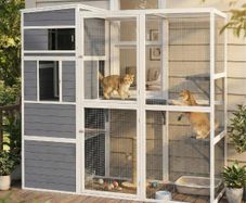 4-Tier Wooden Catio Cat Enclosure