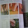 BBC/ Gardeners World/ Geoff Hamilton's Practical Gardening Course / 1998 Image 8