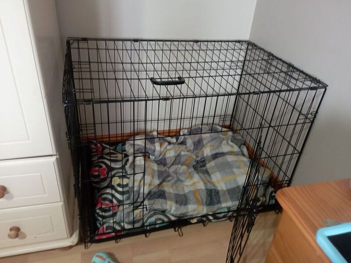 large dog crate