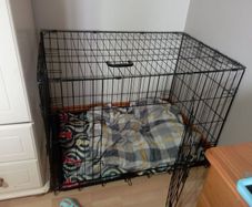 large dog crate
