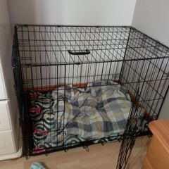 large dog crate