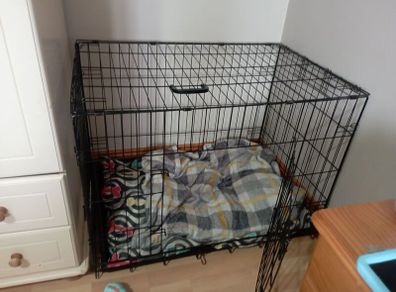 large dog crate