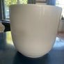 pot Image 2