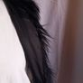 gilet Image 7