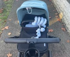 Bugaboo Lynx Complete Set