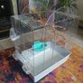 bird cage Image 4
