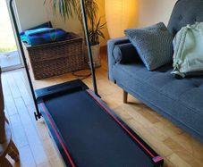 treadmill/walking pad