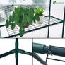 Walk In Greenhouse with Shelves, Image 2