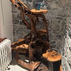 Teak Rootwood Plant Stand