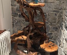 Teak Rootwood Plant Stand