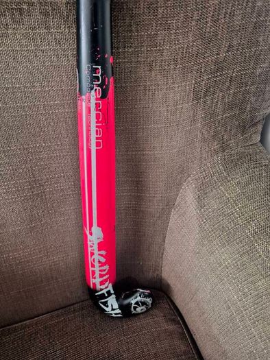 hockey stick
