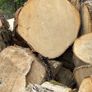 Hardwood firewood Image 4