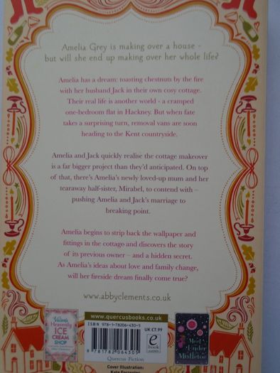 Amelia Grey's fireside dream,Paperback book,Fiction,Books