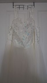 Debs/wedding dress