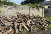 free logs to take away