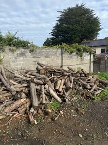 free logs to take away