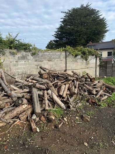 free logs to take away