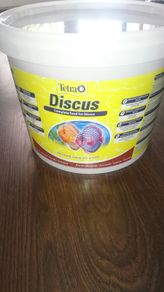 Tetra discus for all tropical fish
