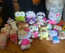 licensed sanrio, pusheen plushies (and extra)