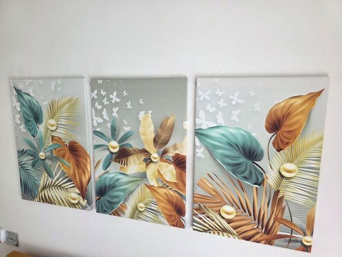 3 framed printed canvas 35x55cm