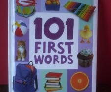 Baby Book