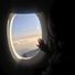 lizcata