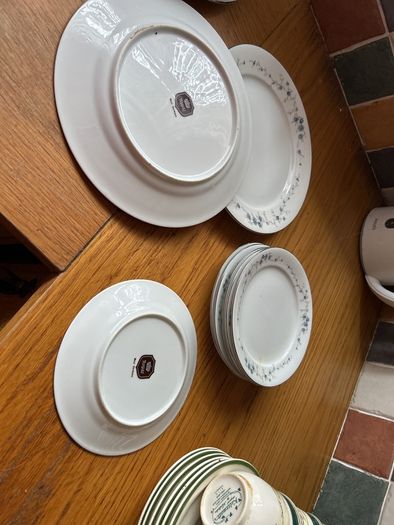 Royal West Germany Bone China Plates  Blue Daisy Flower Print