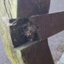 Wooden Garden Gate Image 10