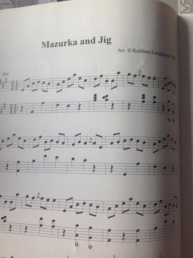 Harping On.  Kathleen Loughnane. Music of the Early Harpers