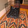 Medium Dog cage Image 4