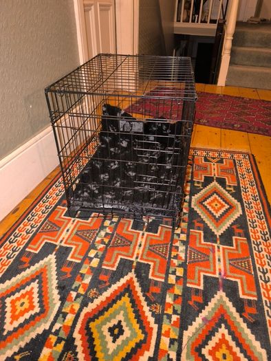 Medium Dog cage