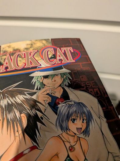 Black Cat manga 1-20
