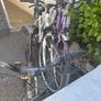 Bikes Adult Image 3