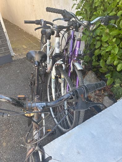 Bikes Adult