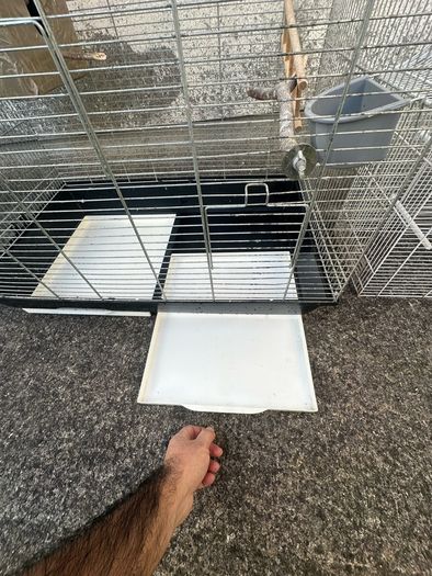 Bird Cages