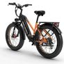 Dukawey DM530 Plus Electric Bike Image 3