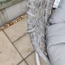 Double Hanging Chair for garden Image 3