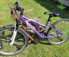 Apollo Twilight 26 Bike