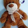 new teddy with tag in gift bag Image 4