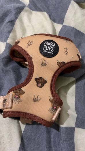 dog harness