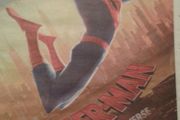 Spider-Man Framed.