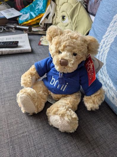 airline bears eur 10 each