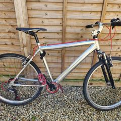 Hybrid Bike