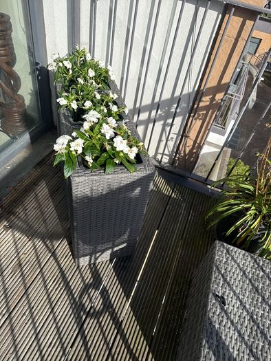 planter