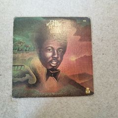 John Kasandra The true genius Vinyl lp